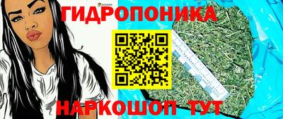 сатива Коммунар
