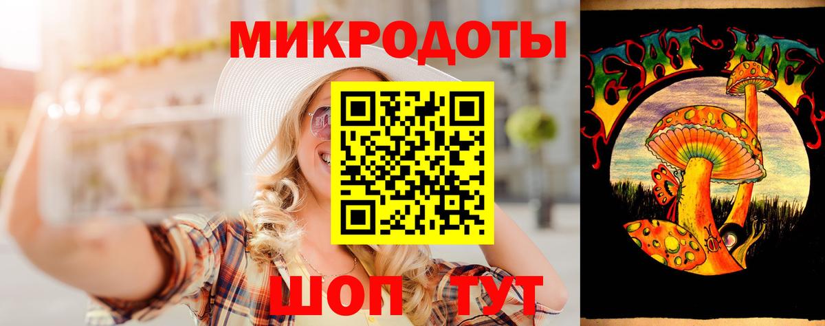 Псилоцибиновые грибы Psilocybine cubensis Конаково